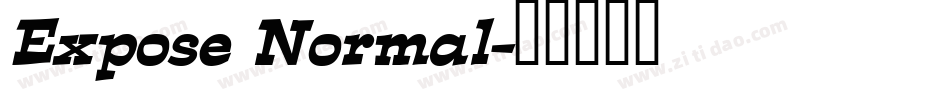 Expose Normal字体转换